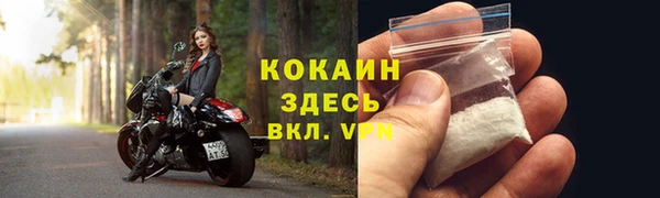 бошки Бронницы