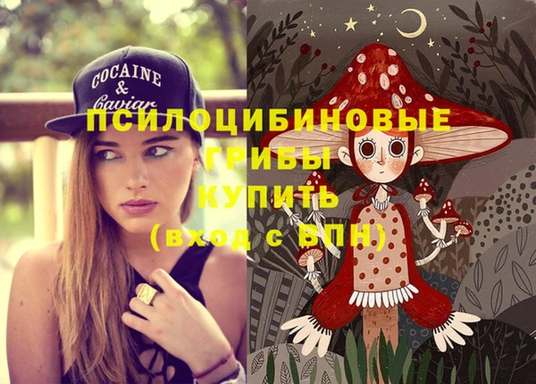 мдпв Вязники