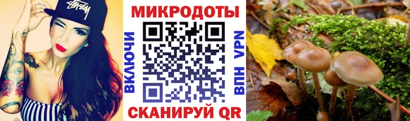 Галлюциногенные грибы MAGIC MUSHROOMS  закладки  Жуковка 